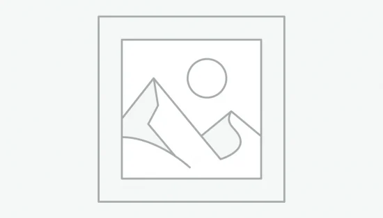 وبینار معارفه